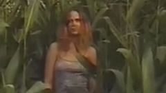 歐美群星 - Love To Hate It