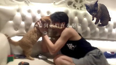 【厲害了】我竟然鬼畜了鹿灰黃 飯制版