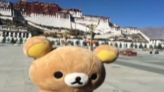 易烊千璽西北粉絲團咚巴拉