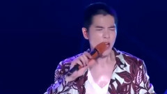 阿飛的小蝴蝶
