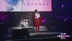 后來才發現(2015甜妍蜜語全國巡回演唱會沈陽站)-莊心妍
