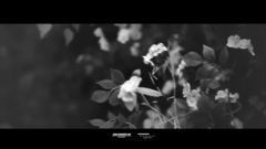 樸燦烈Ins自作曲