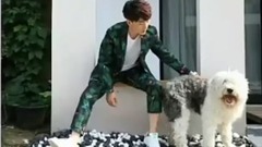 劉亦宸