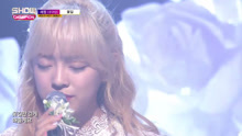 花路 MBC Show Champion 現場版 16/11/30