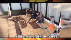 臺哥要報報:鄭爽“消失”一個月后露面 曬父女做木工照片
