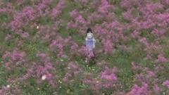 獨立寒江