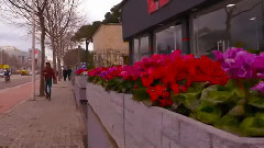 阿爾巴尼亞首都地拉那