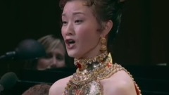 美麗的美國