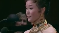 美麗的美國