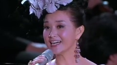 我的祖國