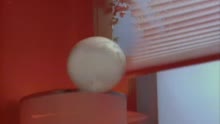 Bouncin' Off The Walls