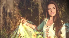 N?o Negaremos (Lyric Video)