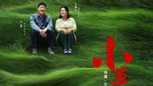  - 那年草青青 電視劇《小草青青》片頭曲