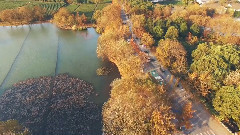 民樂群星,風景,音樂短片,輕音樂,樂動城市 - 鳥瞰杭州 Aerial Hangzhou