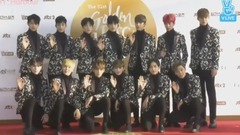 金唱片紅毯 SEVENTEEN cut