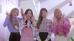 BLACKPINK - Channel+ Open預告