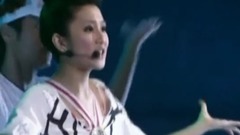 波斯貓