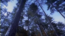 Faut se lacher (Official Music Video)