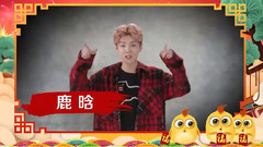 金雞報曉.明星陪你過大年
