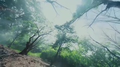 電視劇<孤芳不自賞>楚北捷中白蘭奸計