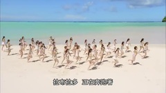 拉布拉多獵犬