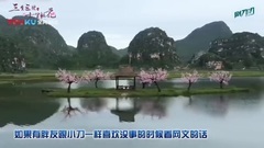 <三生三世十里桃花>深挖四大看點 冪冪版白淺配咆哮版夜華