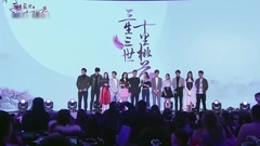 電視劇<三生三世十里桃花>發布會之媒體采訪環節
