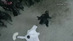 電視劇<三生三世十里桃花>令羽中箭遭圍攻 司音參戰護師兄 06集精彩片段