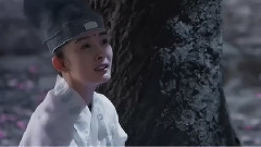 十里桃花之夜華帶素素游十里桃林