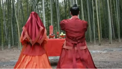 十里桃花之搶先看 楊冪趙又廷大婚