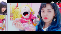一起來看rookie