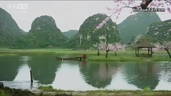 白淺X鳳九 第二世<三生三世十里桃花>,總覺得哪里不對勁