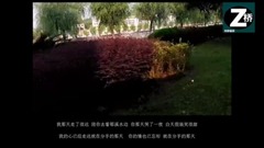 謊言