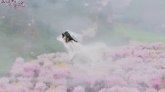 夜華蘇醒尋摯愛十里桃林重聚首
