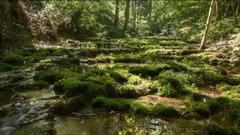 捷克的自然風景