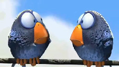 鳥兒們
