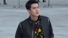 Louis Vuitton fall/winter 2017 fashion show 世勛