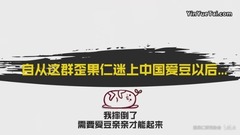 自從這群歪果仁在中國追星以后。。。