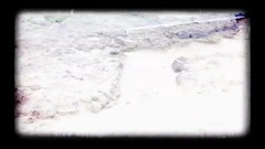 徐佳瑩 - 突然好想你