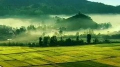 音樂短片