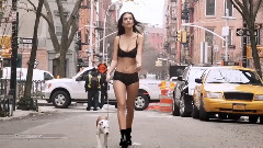 來自美國的Dkny