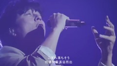 后來的我們