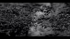 Demet Akal?n - Nazar