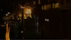 夜色溫柔