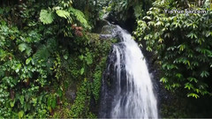 馬提尼克島