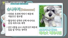 SONAMOO pet house EP2 寵物屋
