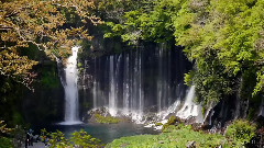 日本靜岡縣白糸瀑布