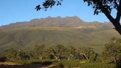 肯尼亞國家公園