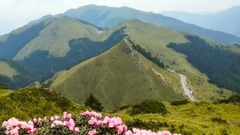 山前山后百花開