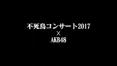 "美空ひばり生誕80周年特別企畫in東京ドーム不死鳥コンサート2017"AKB48 留言短片